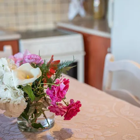 Pitoros Summer Kefalonia Tatil Evi